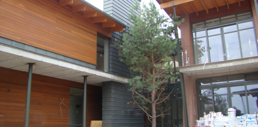 Дом в с. Козин